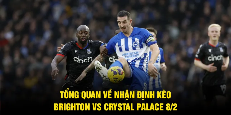 Tổng quan về nhận định kèo Brighton vs Crystal Palace 8/2