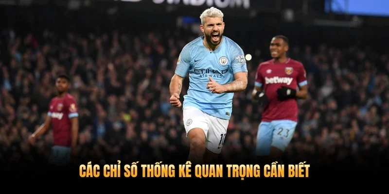 Các chỉ số thống kê quan trọng cần biết