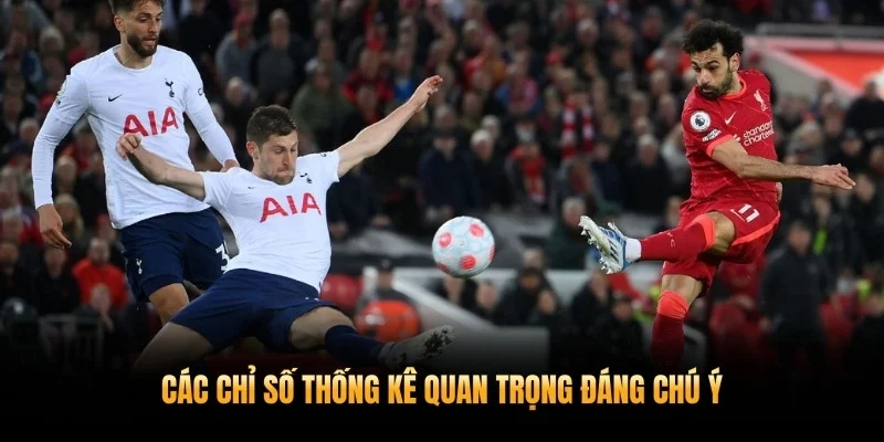 Các chỉ số thống kê quan trọng đáng chú ý